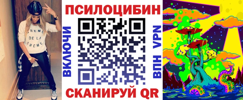 Псилоцибиновые грибы мицелий  даркнет сайт  площадка наркотические препараты  Буйнакск 