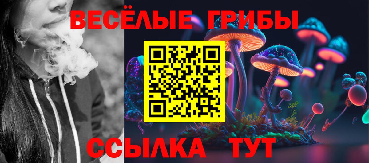 Буйнакск  Галлюциногенные грибы Cubensis  Вход с VPN  Псилоцибиновые грибы ЛСД 